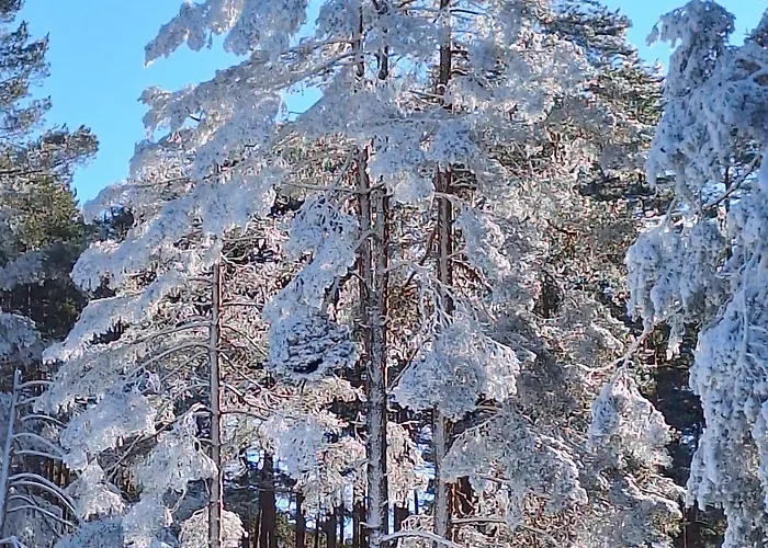 아파트 23-spa 즐라티보