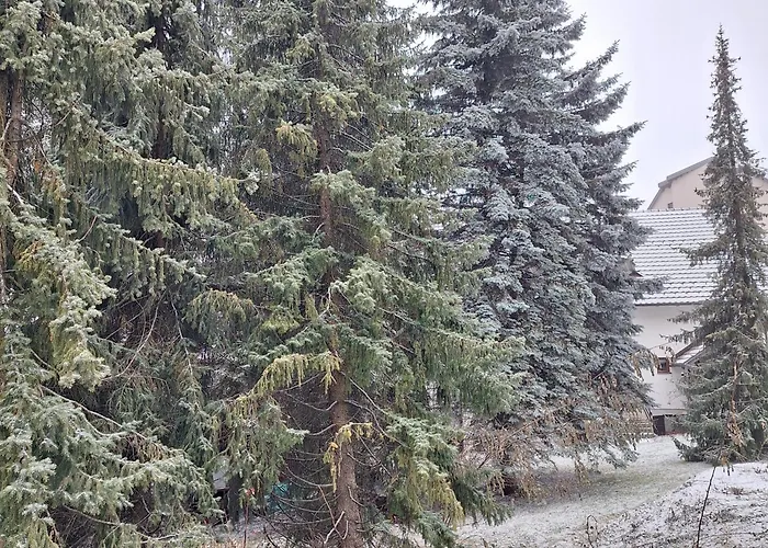 23-spa * 즐라티보